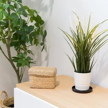 Brand New Downtown Apartman Las Palmas de Gran Canaria
