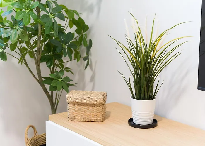 Brand New Downtown Apartmán Las Palmas de Gran Canaria